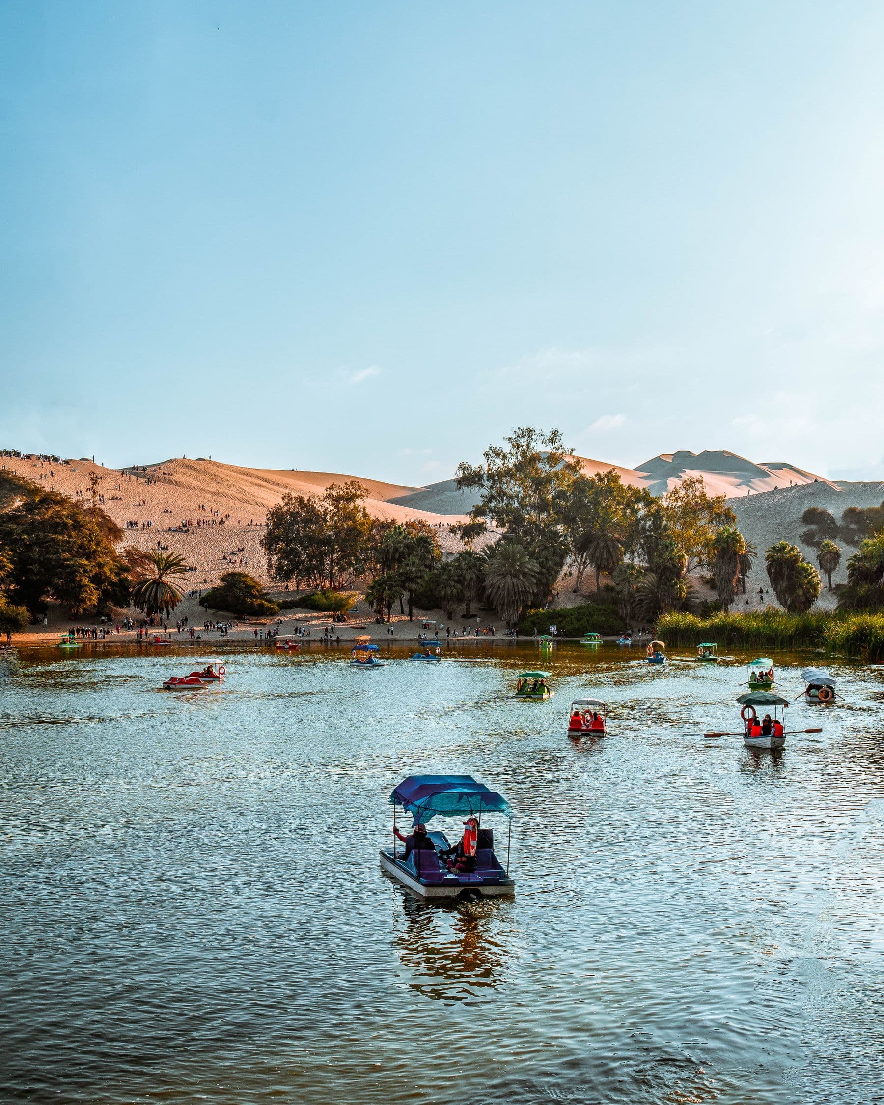 Viaje de 2 dias Islas Ballestas & Huacachina desde Lima