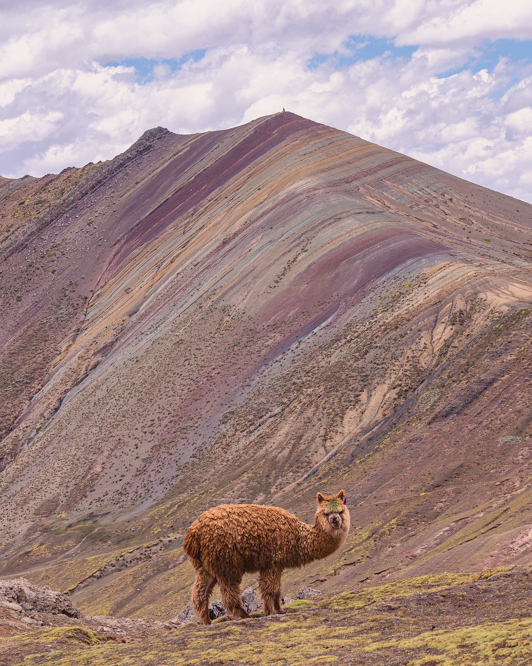 Montaña de Colores – Vinicunca: vista 2