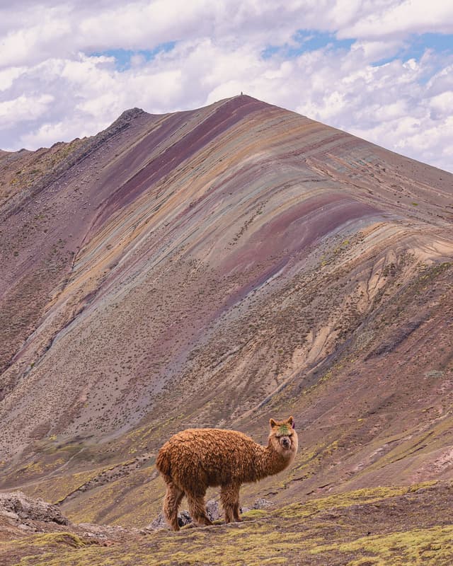 Montaña de Colores – Vinicunca destination 1