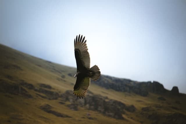 Tour al Mirador del Cóndor en Cusco y el Cañón de Chonta destination 3